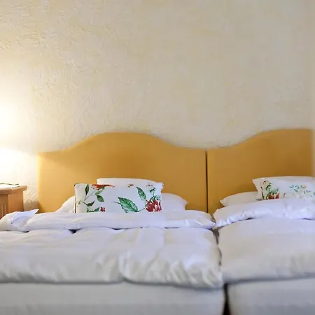 Sonnen Hotel-Garni 3*