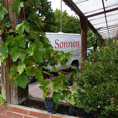 Sonnen Hotel-Garni 3*